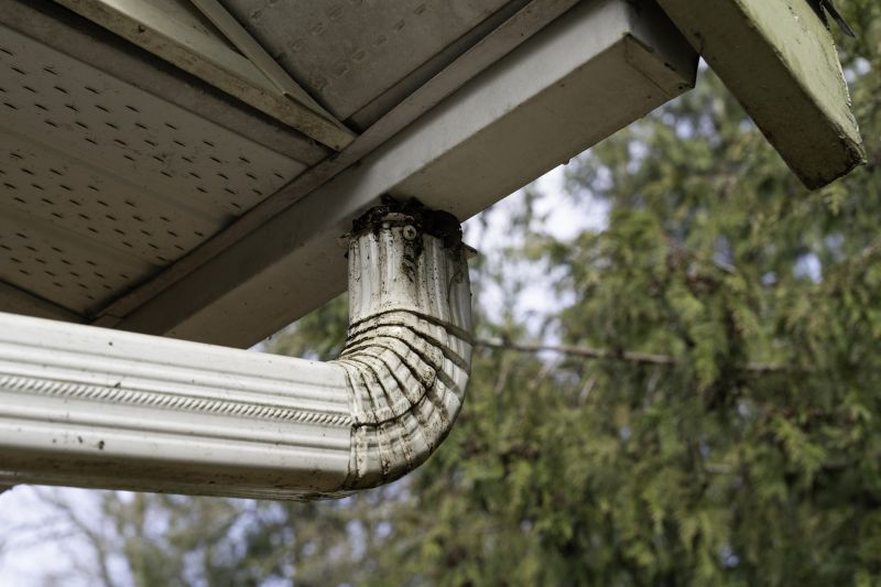 Downspout Diverter Service