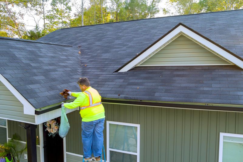 Residential Property Gutter Maintenance