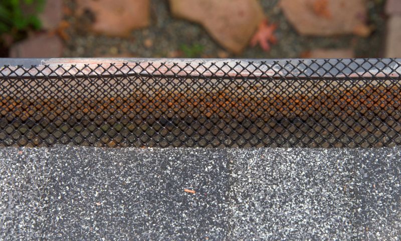 Gutter Guard Options